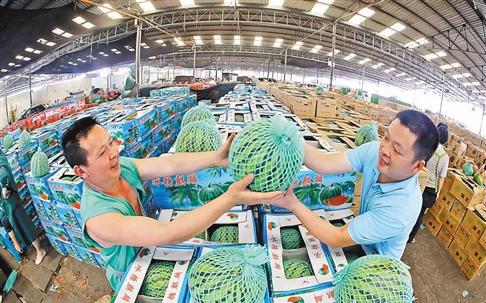 強化食用農產品質量安全監管，市場監管部門這樣做